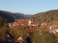 Steina - Mischwald